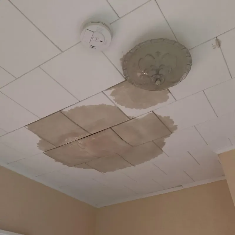 Ceiling Water Damage Repair in Guernsey County, OH
