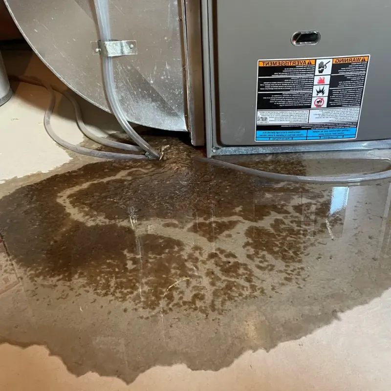 Pipe Burst and Leak Restoration in Guernsey County, OH