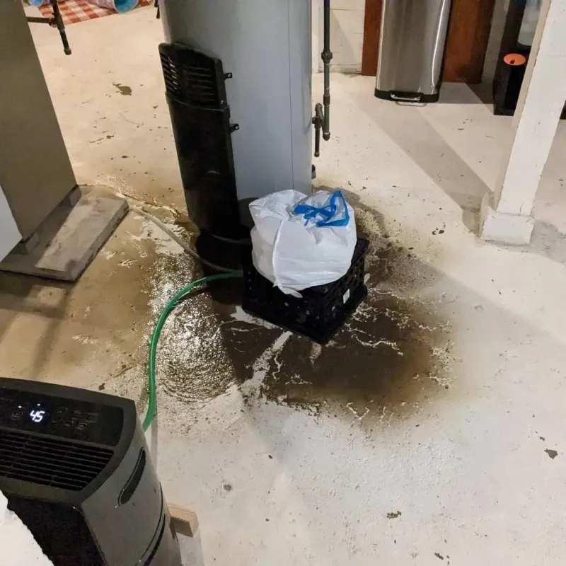 Sewage Backup Cleanup Service in Guernsey County, OH